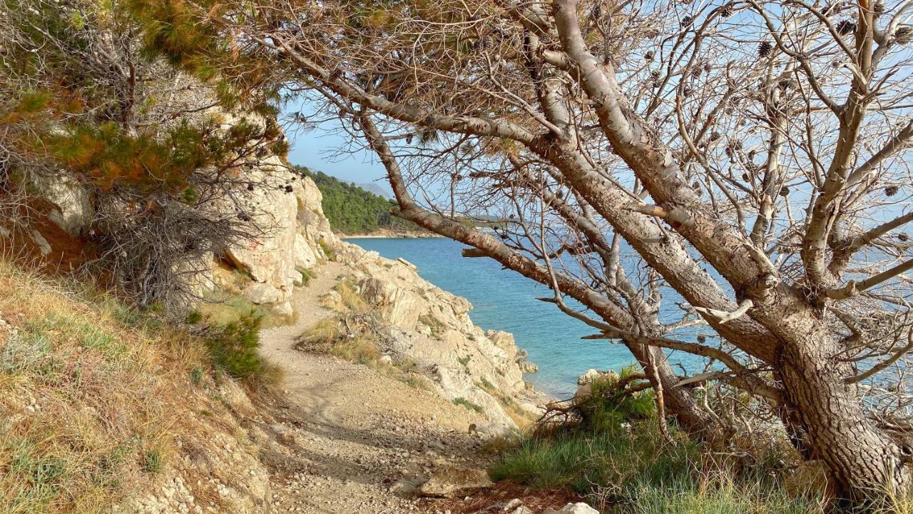 Apartmani Vela Makarska Dış mekan fotoğraf