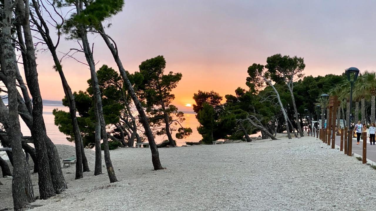Apartmani Vela Makarska Dış mekan fotoğraf